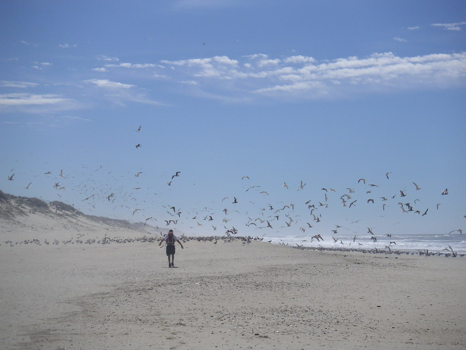 O Abílio quase a levantar voo com as gaivotas