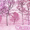 Winter*