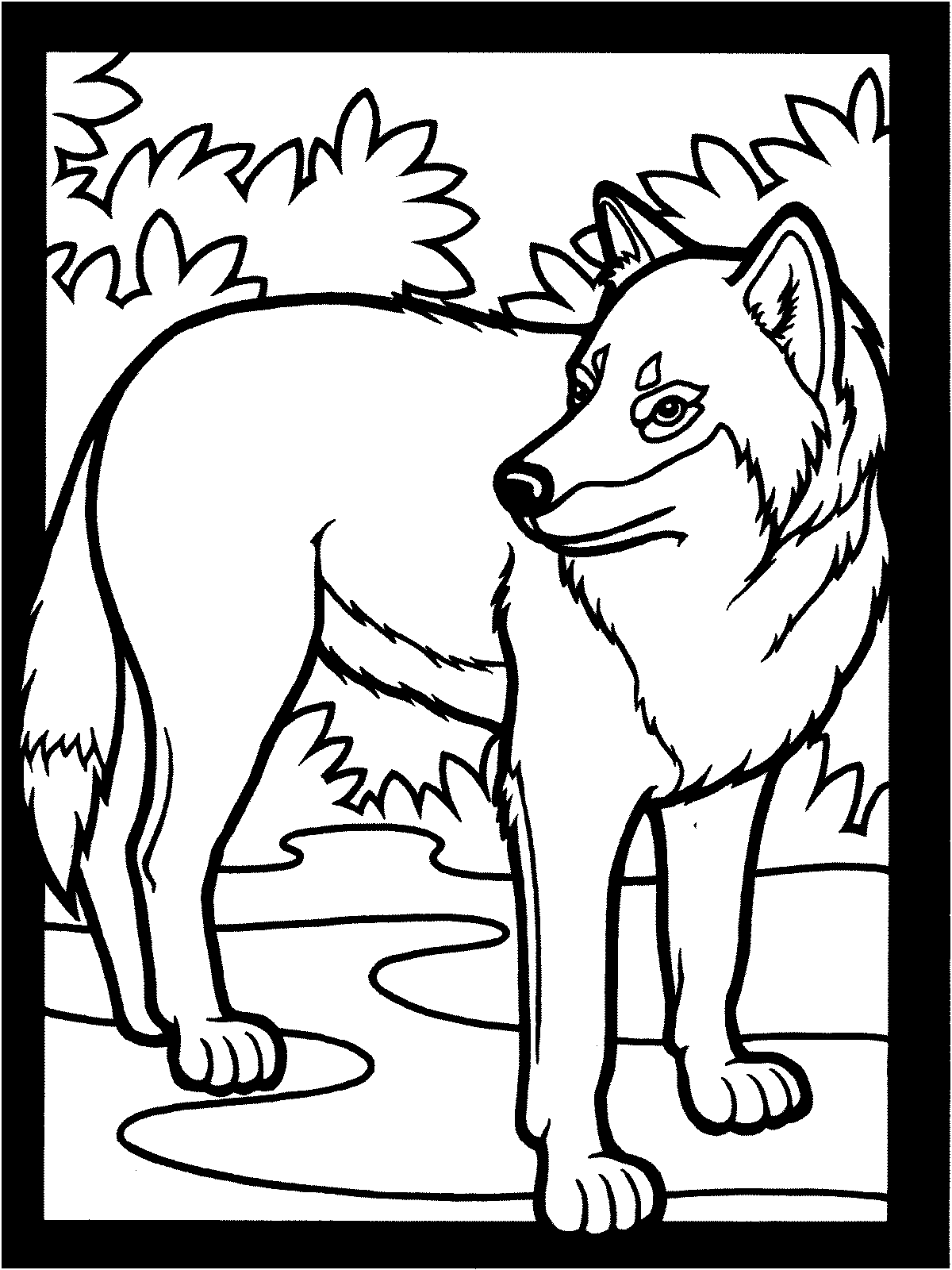 Desenhos de Wolfoo 1 para Colorir e Imprimir 