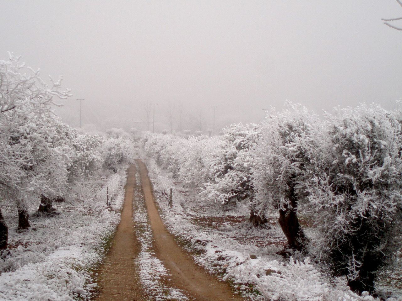 Inverno em Mirandela