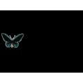Resultado de imagem para gifs de borboletas voando