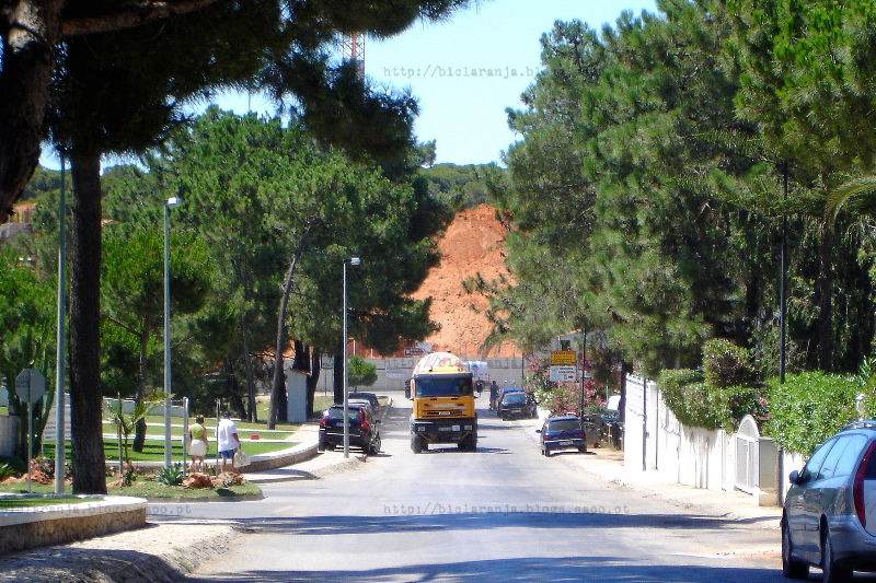 Algarve (c) 2008