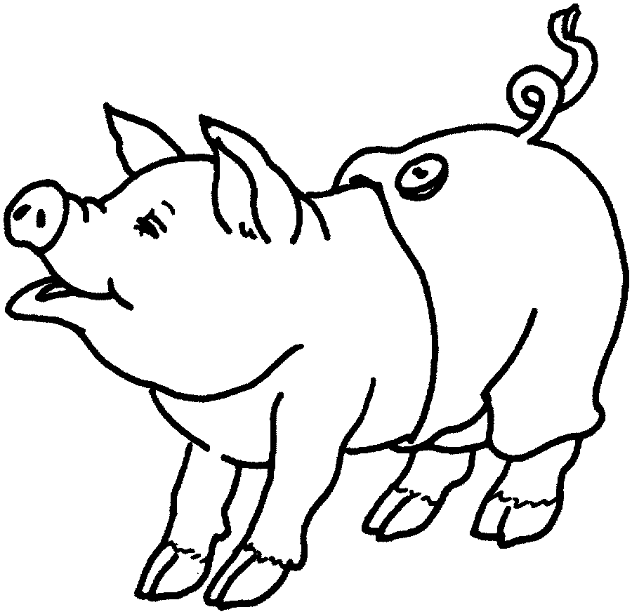 Desenho de Porco para Colorir - Colorir.com