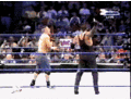 Undertaker VS MVP - Página 2 000tt1ss