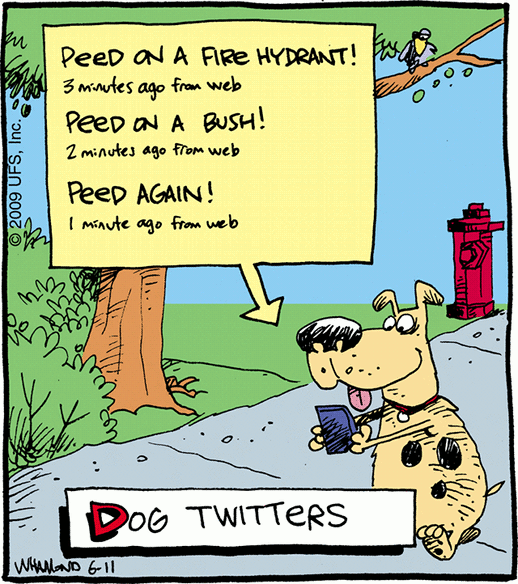 dogs twitt