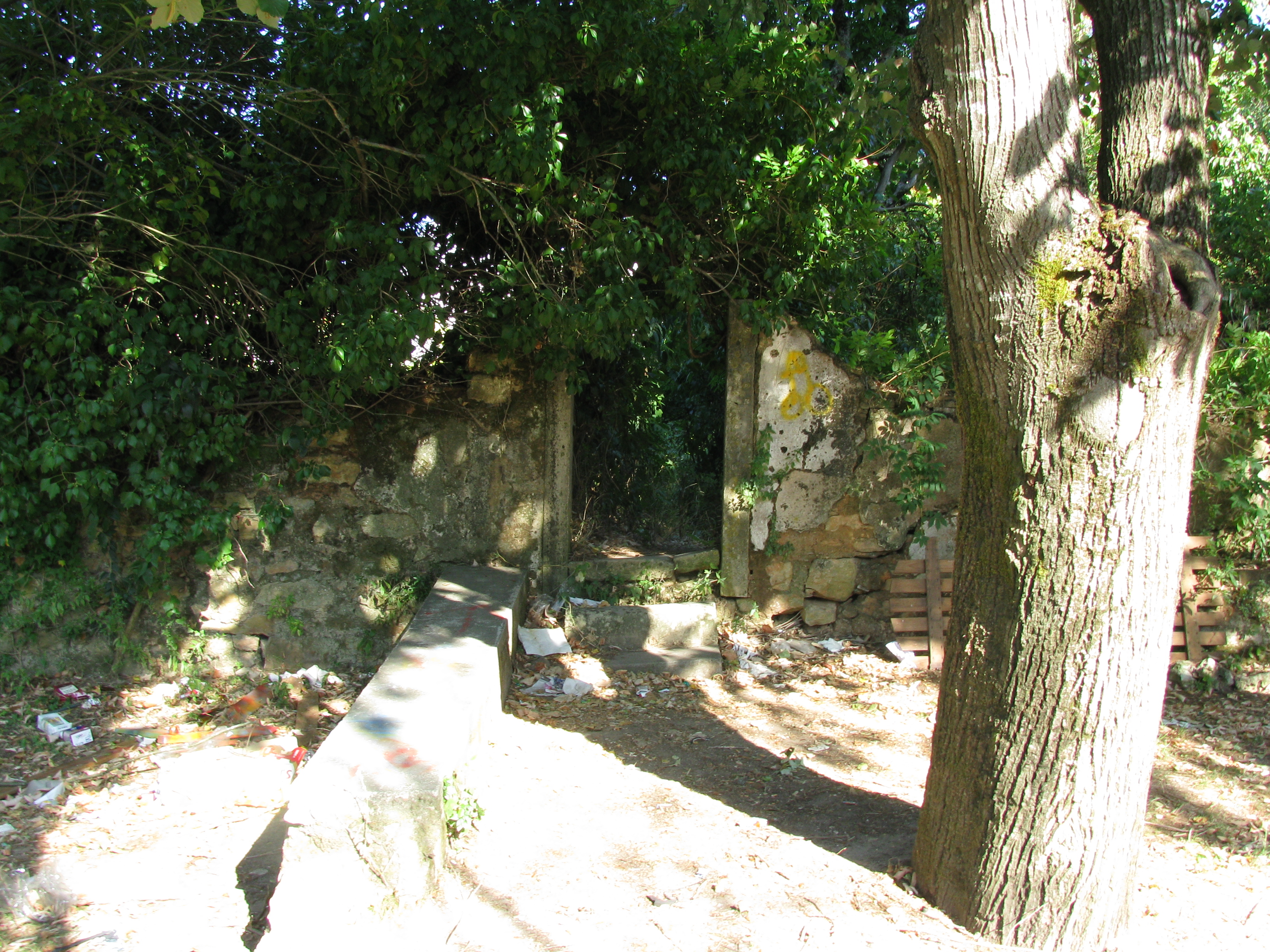 Traseiras do Jardim do Convento de Santa Iria