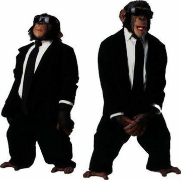 Chimpanzés de gravata certificada