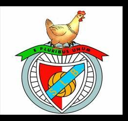 BENFICA: Até a águia virou galinha!!! - Sport Lisboa e Benfica